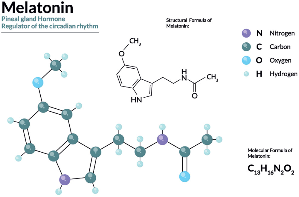 Melatonin Molecular Structure Infographic